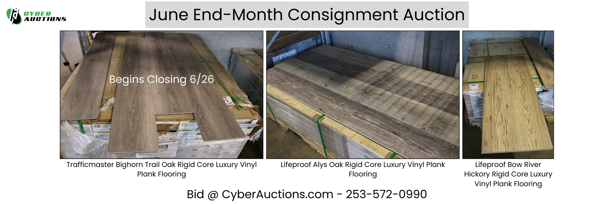 June End Month Consignment Auction (3)